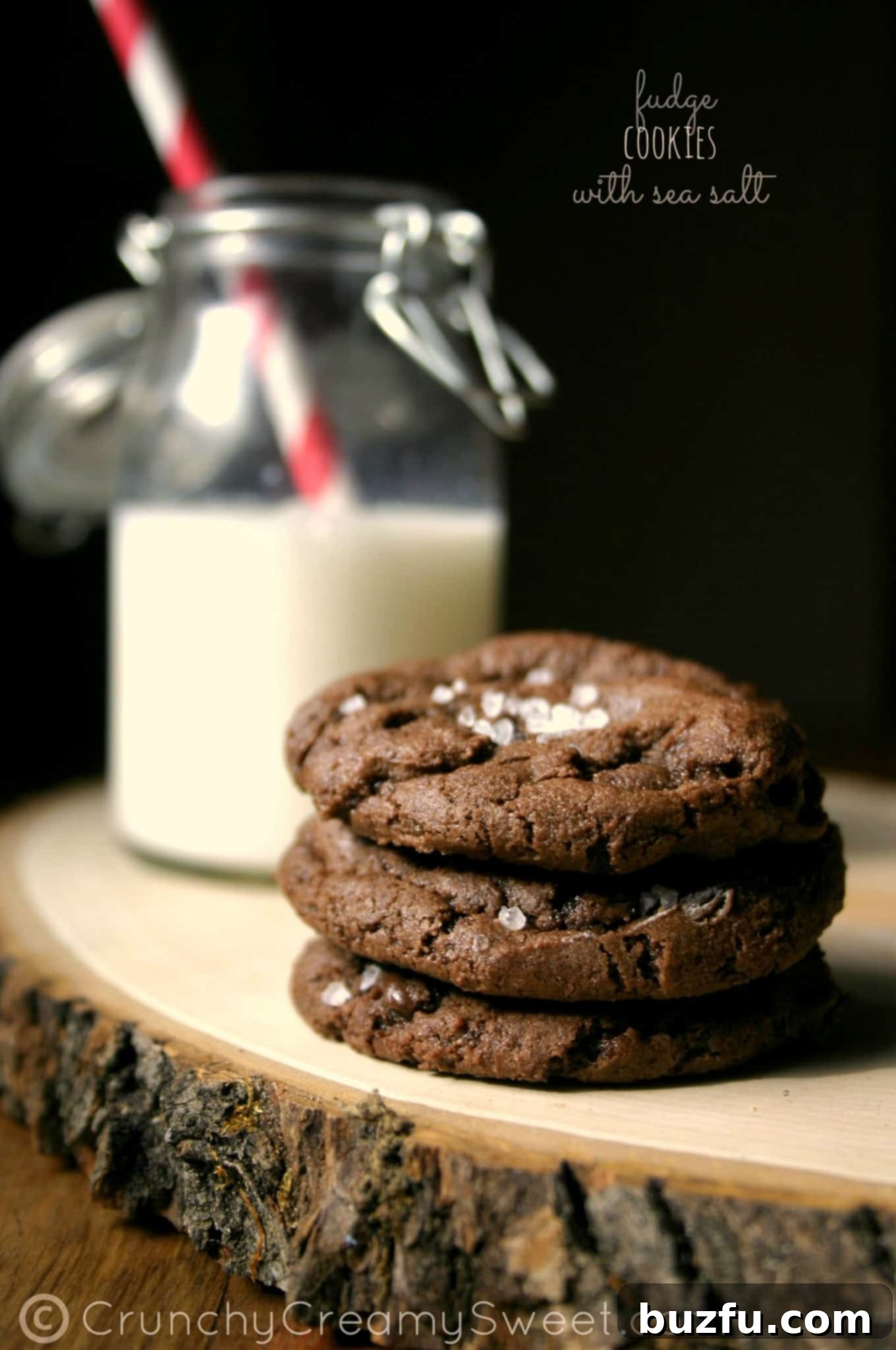 Decadent Chocolate Fudge Cookies with Sea Salt: Rich, Fudgy, and Unbelievably Easy to Make Side shot of three perfectly baked chocolate fudge cookies, sprinkled with sea salt, resting on a rustic wooden board. The cookies are dark, rich, and slightly crinkled, promising a delightful texture.