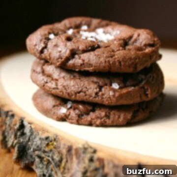 Decadent Sea Salt Chocolate Fudge Cookies 2 Chocolate Fudge Cookies with Sea Salt
