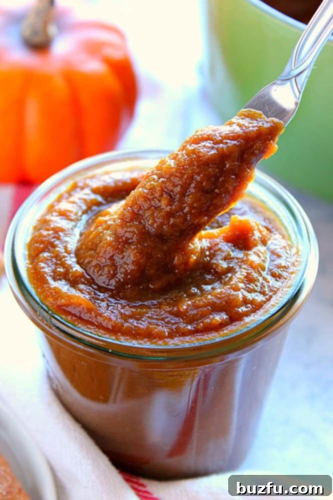 Close up shot of pumpkin butter on butter knife taken from glass jar, showcasing its smooth, rich texture and inviting fall color.