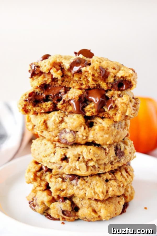 Five pumpkin oatmeal cookies stacked up on each other on a white plate, ready to be enjoyed.