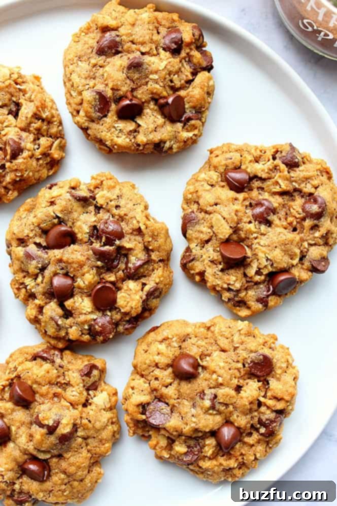Overhead shot of freshly baked pumpkin oatmeal chocolate chip cookies beautifully arranged on a white serving plate.