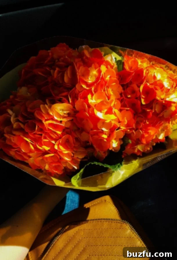 A hand gently holds a vibrant bouquet of orange flowers, symbolizing warmth and joy.