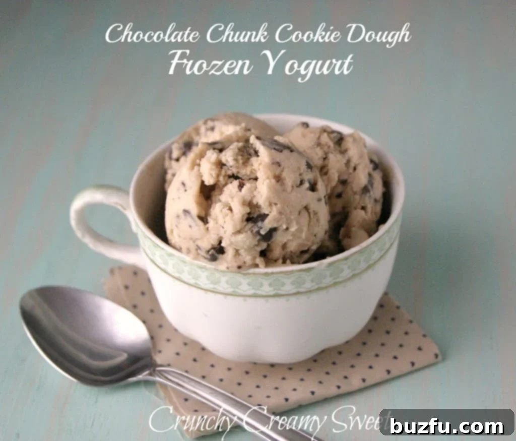 Delicious Chocolate Chunk Cookie Dough Frozen Yogurt in a bowl, topped with more cookie dough pieces and chocolate shavings.