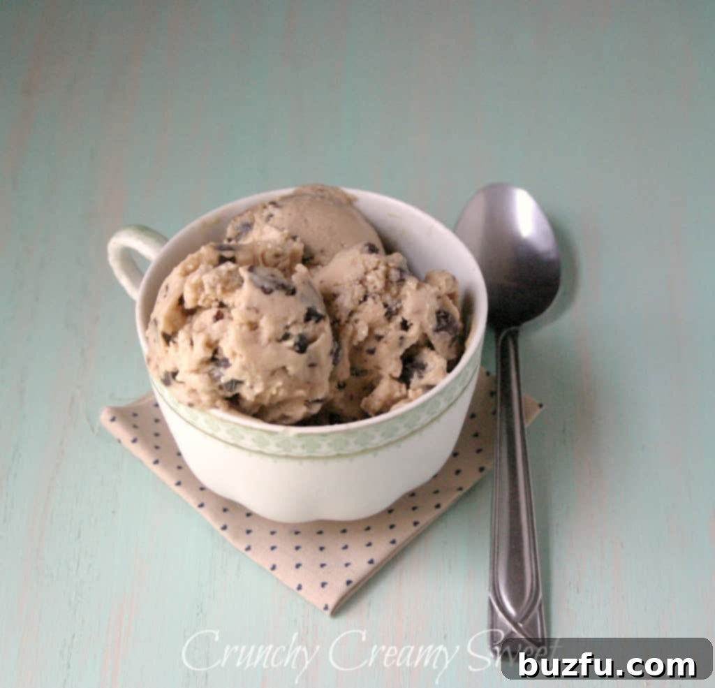 A scoop of Chocolate Chunk Cookie Dough Frozen Yogurt in a cup, showing the rich brown sugar color and visible chocolate pieces.