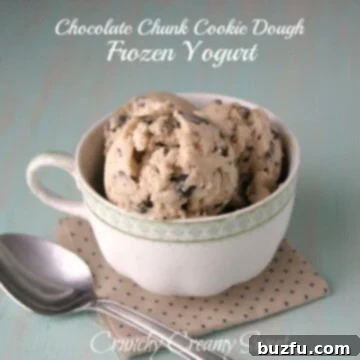 Chocolate Chunk Cookie Dough Frozen Yogurt, ready to be served.