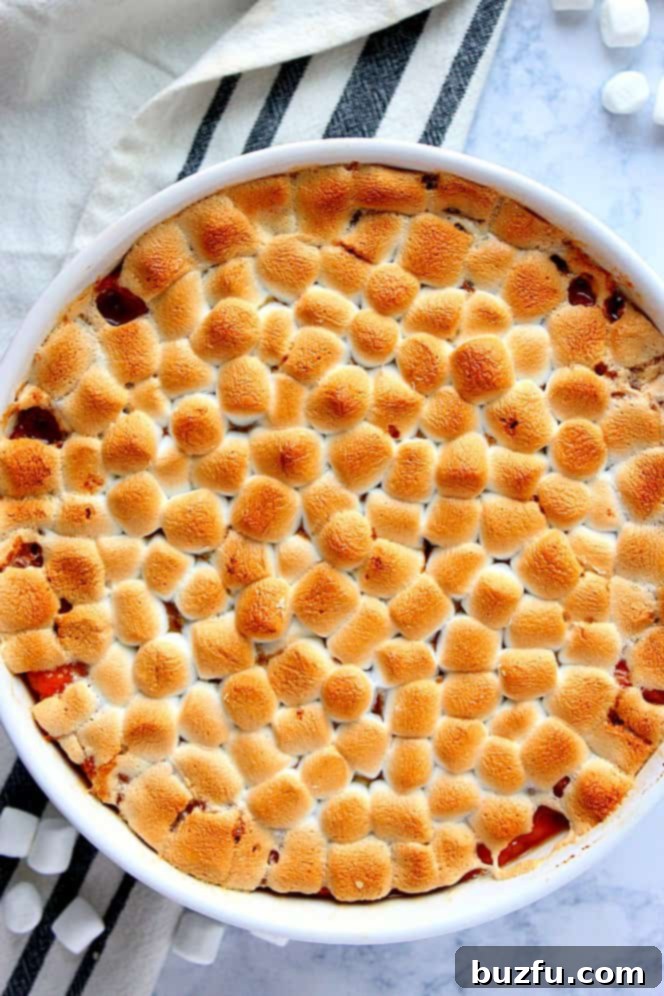 Overhead shot of a classic sweet potato casserole in a white round dish, generously topped with golden-brown toasted marshmallows.