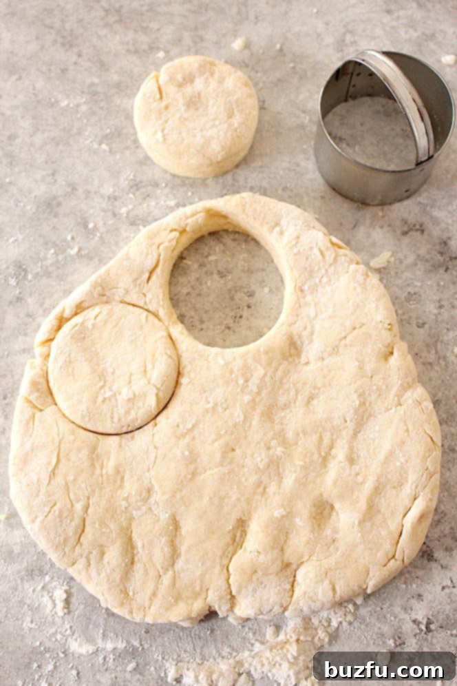 Buttermilk biscuit dough with rounds cut out.
