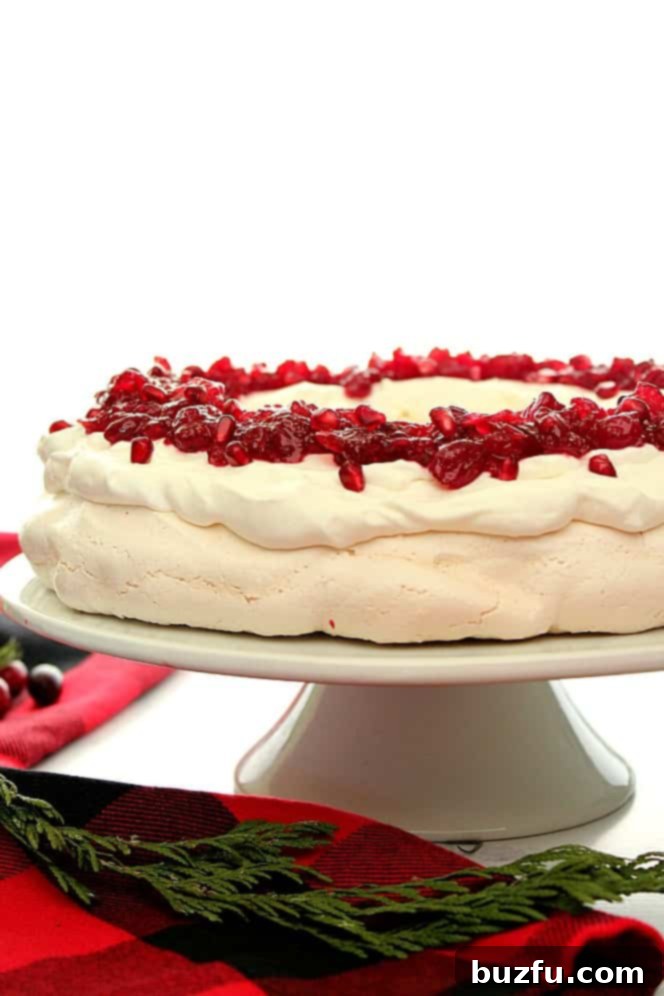 Side shot of Pavlova cake with cranberry sauce on white cake stand and fir branches around it.