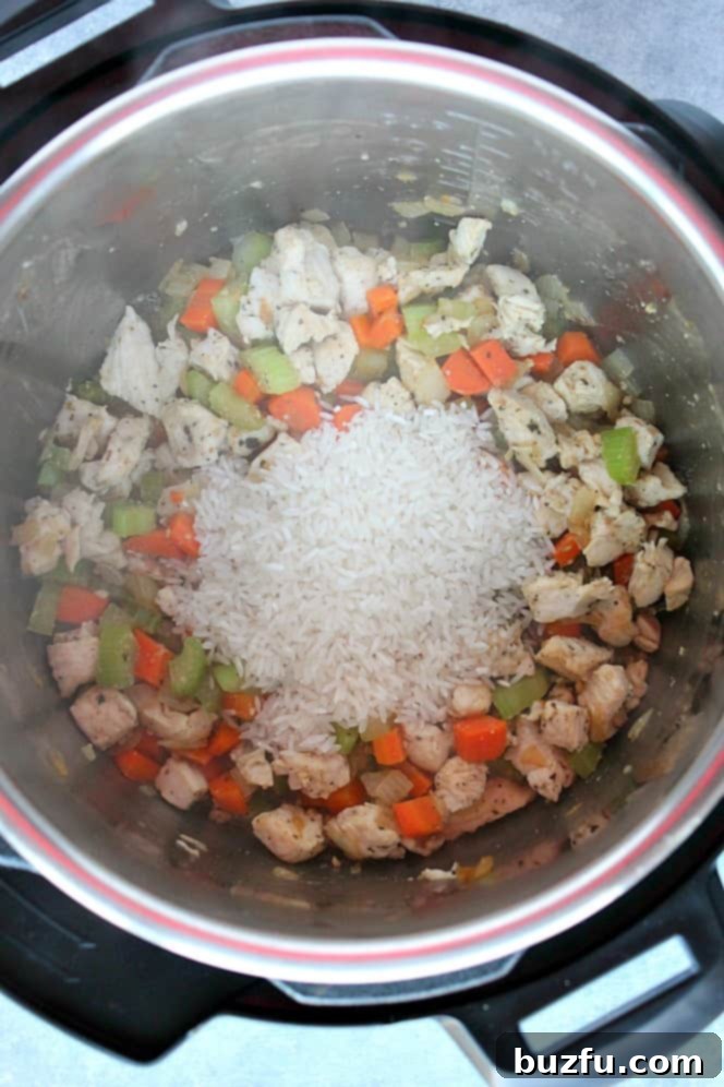 Overhead shot of chicken, carrots, celery, onions and rice in the Instant Pot before pressure cooking.