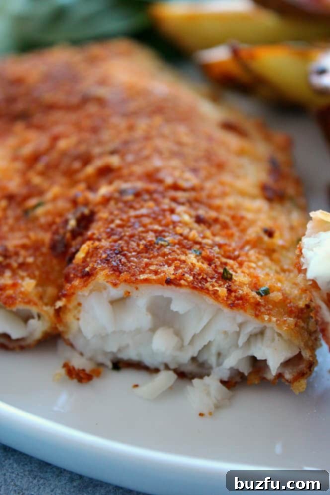 Close up shot of breaded tilapia, inside shot of flaky white fish meat.