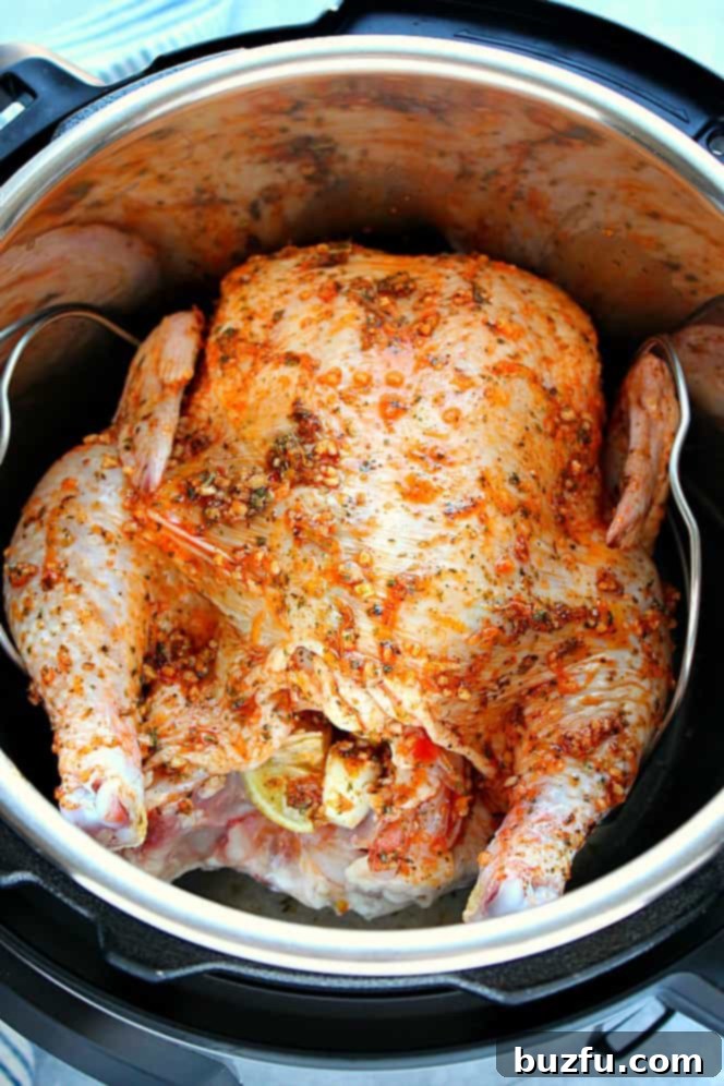 An impressive overhead shot of a perfectly roasted whole chicken, golden brown and ready to carve, cooked within the Instant Pot.