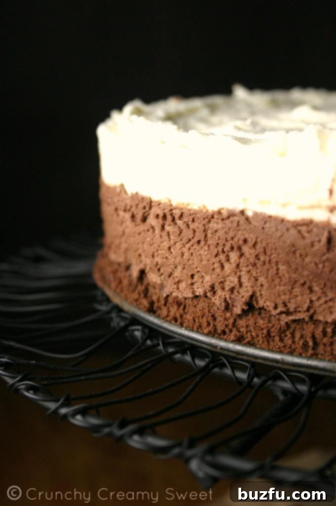 A stunning Triple Chocolate Mousse Cake presented on an elegant cake stand, ready to be served.