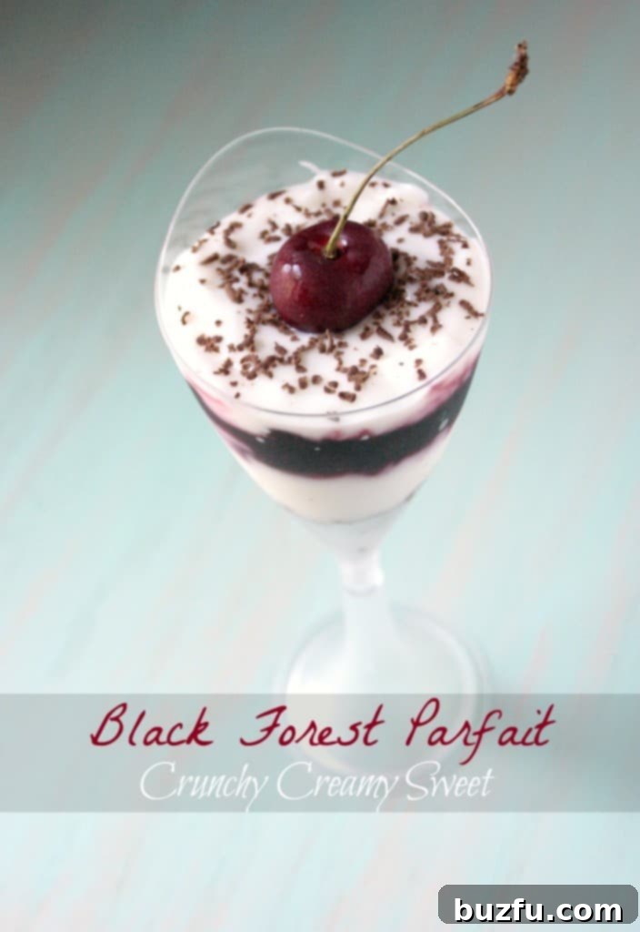 Layers of creamy vanilla yogurt, rich cherry sauce, and crunchy chocolate cookie crust in a Black Forest Parfait glass.