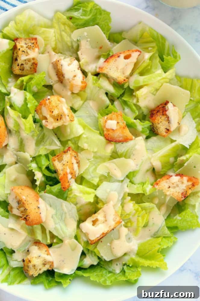 Close up shot of chopped Romaine lettuce, croutons, shaved Parmesan and dressing. Detailed view of fresh Caesar salad ingredients.
