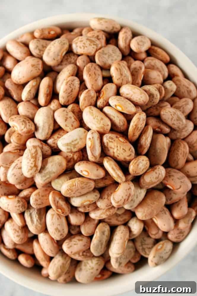 Close up shot of dry pinto beans in a bowl.