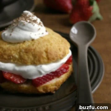 Homemade Strawberry Shortcake 2 Strawberry Shortcakes, a classic dessert with tender biscuits, fresh strawberries, and fluffy whipped cream.