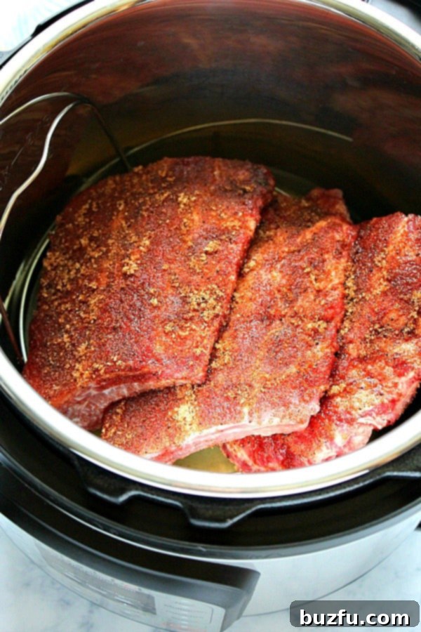Overhead shot of three pieces of seasoned baby back ribs arranged upright on a trivet inside the Instant Pot before cooking.