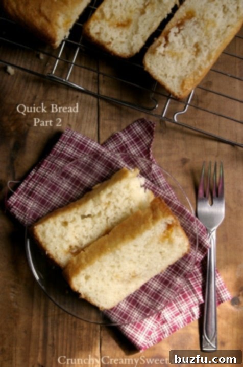 Classic Quick Bread Recipe - Traditional flat top sweet bread with apricot jam swirl. Overhead shot of two slices of classic quick bread on a glass plate, showcasing a delicate apricot jam swirl.