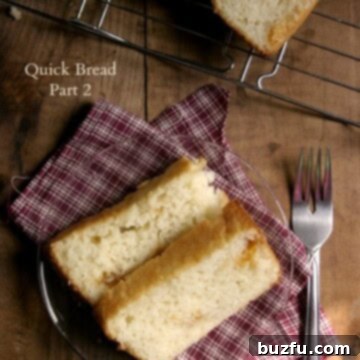 Whip Up Perfect Quick Bread 2 Quick Bread Part 2 {flat top, regular loaf} CrunchyCreamySweet.com