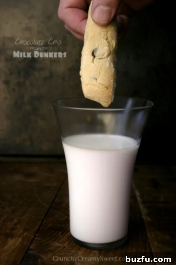 Chocolate Chip Milk Dunkers | CrunchyCreamySweet.com Delicious Chocolate Chip Milk Dunkers ready for dipping