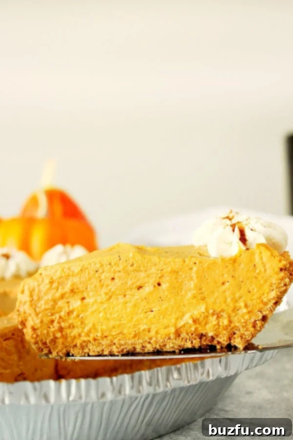 A pristine slice of No-Bake Pumpkin Pie, served on a pie server, ready to be placed on a plate.
