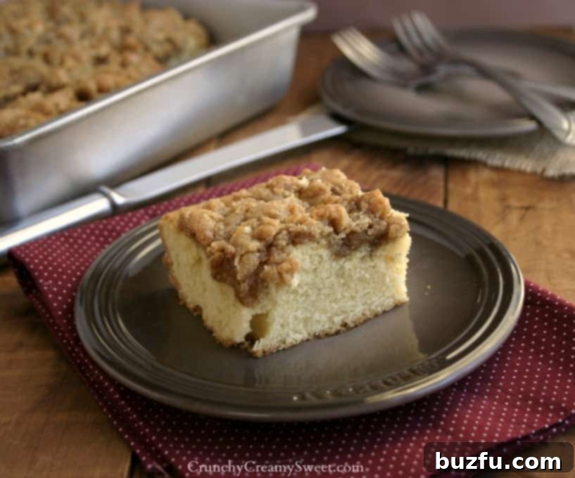 Side view of a slice of New York Style Crumb Cake on a plate, with a full crumb cake in a baking pan visible in the soft-focus background.