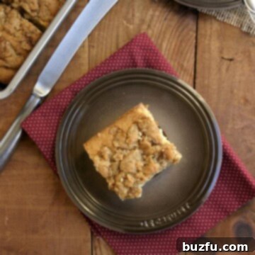 New York Style Crumb Cake | Crunchy Creamy Sweet