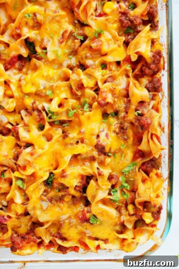 Cheesy Beef Noodle Casserole - best ground beef casserole with wide egg noodles, tomato sauce and baked with cheese. This easy dinner is bound to be a family favorite! A vibrant Cheesy Beef Noodle Casserole, freshly baked in a clear glass casserole dish, garnished with herbs.