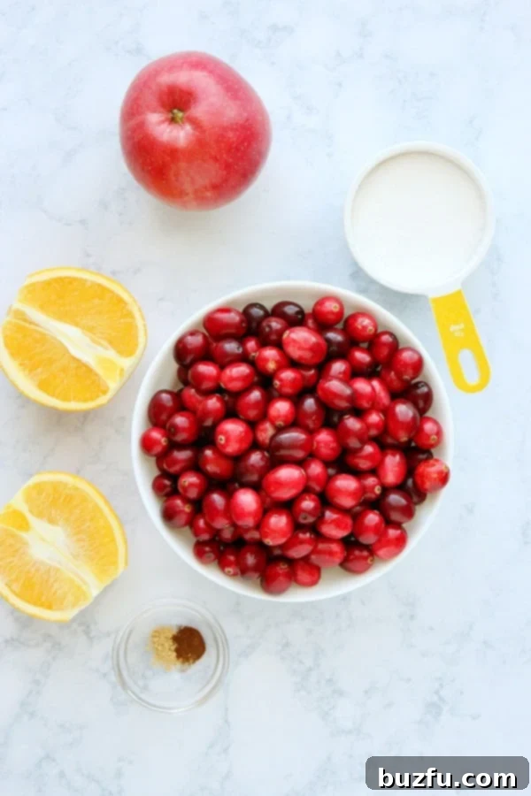 Fresh ingredients for Cranberry Relish laid out on a marble board, including vibrant cranberries, a crisp apple, a bright orange, sugar, and spices.