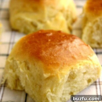 Golden Brioche Delights 2 Brioche Buns - soft and fluffy rolls