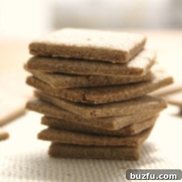 Homemade Wheat Thins | CrunchyCreamySweet.com