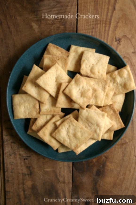 Overhead shot of golden-brown homemade crackers arranged neatly on a blue plate, highlighting their crisp texture.