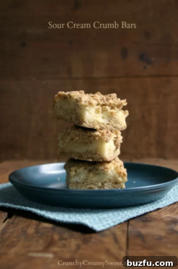 Decadent Sour Cream Crumb Bars with a rich, creamy filling and a golden crumb topping, presented on a plate.