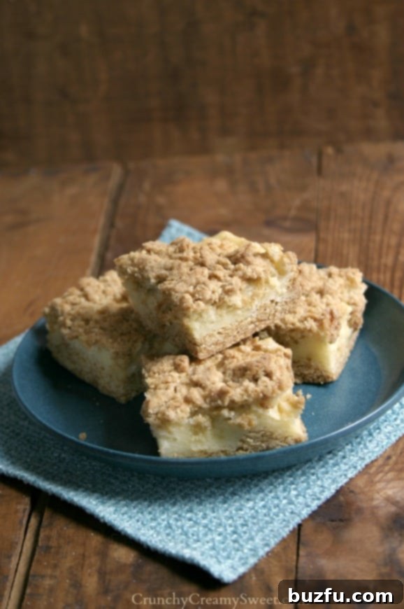 A close-up view of the Sour Cream Crumb Bars, emphasizing the golden, textured crumb topping.