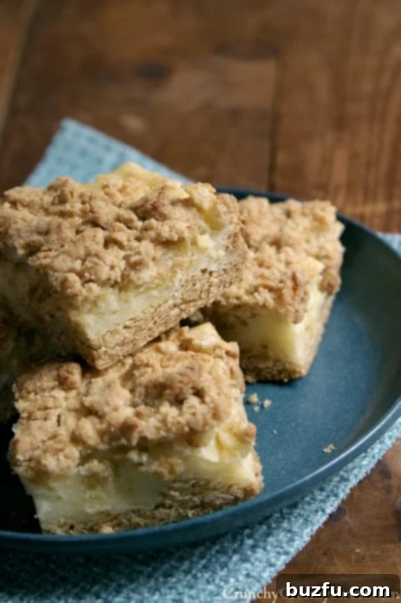 A single square of Sour Cream Crumb Bar, perfectly cut and ready to be enjoyed.