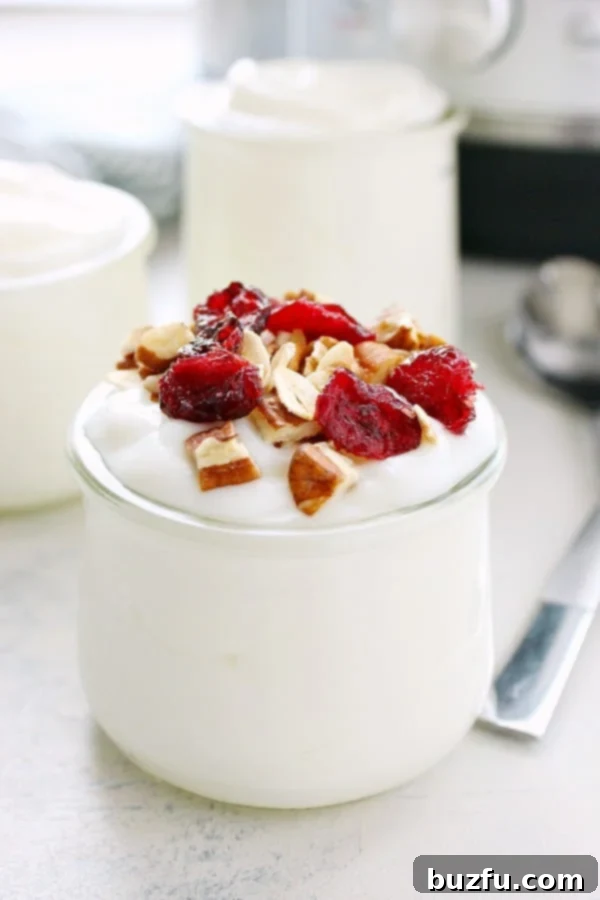 A small glass jar filled with creamy homemade Instant Pot yogurt, garnished with fresh berries and granola, set on a rustic gray board.