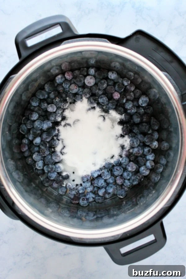 How to make Blueberry Jam in Instant Pot. Blueberries with sugar in the Instant Pot, before cooking.