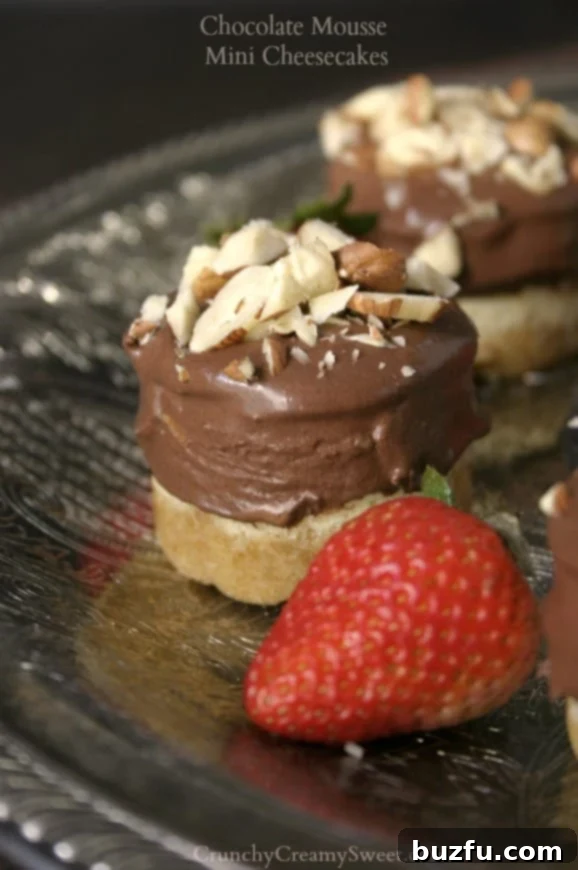 Decadent Chocolate Mousse Mini Cheesecakes topped with nuts or fresh fruit.