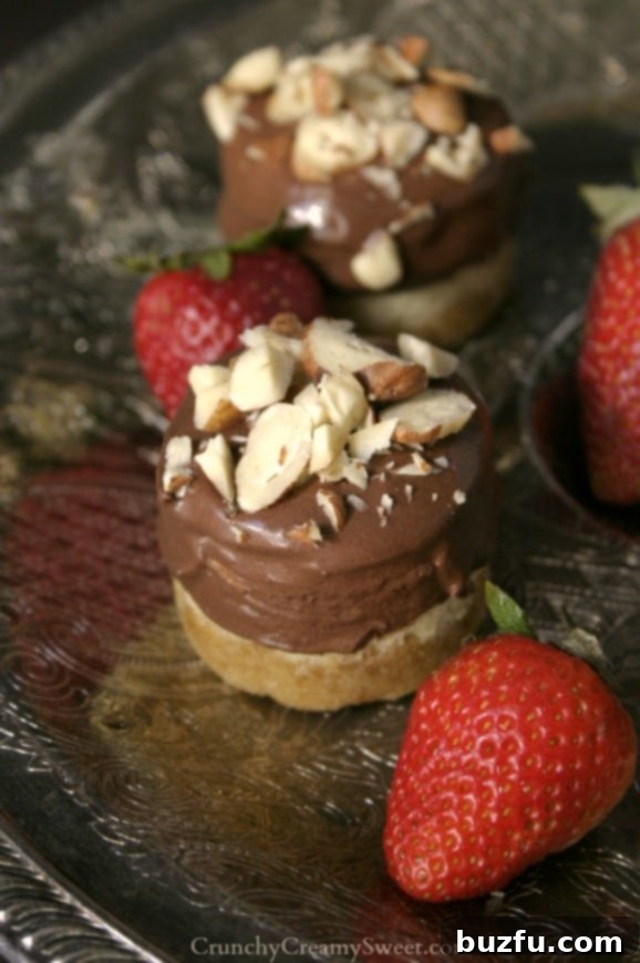 Close-up of a beautifully garnished Chocolate Mousse Mini Cheesecake.