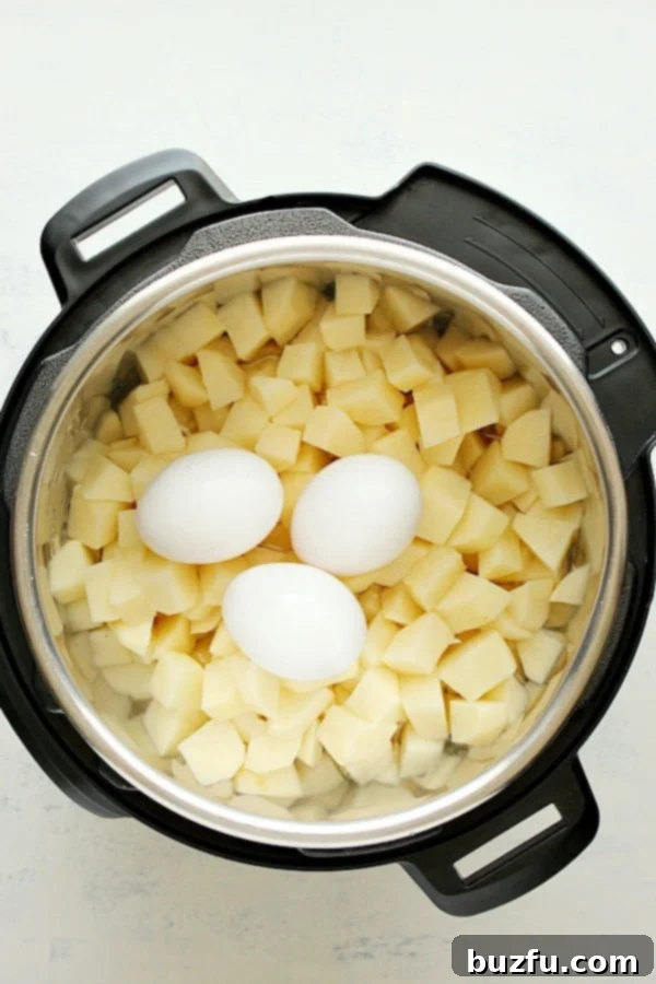How to Make Potato Salad in the Instant Pot: A Step-by-Step Guide Cubed potatoes and whole eggs nestled inside the Instant Pot before cooking, demonstrating the simultaneous cooking method.