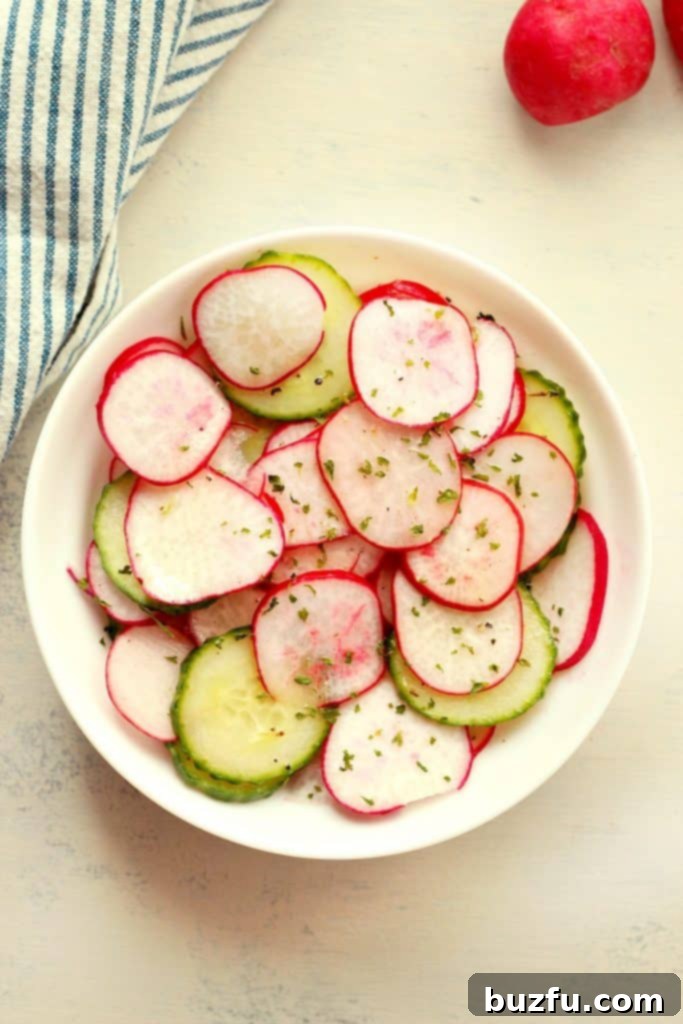 Close-up of a beautifully plated radish, cucumber, and red onion salad in a minimalist white ceramic bowl, showcasing its fresh colors and inviting textures, garnished with fresh herbs.