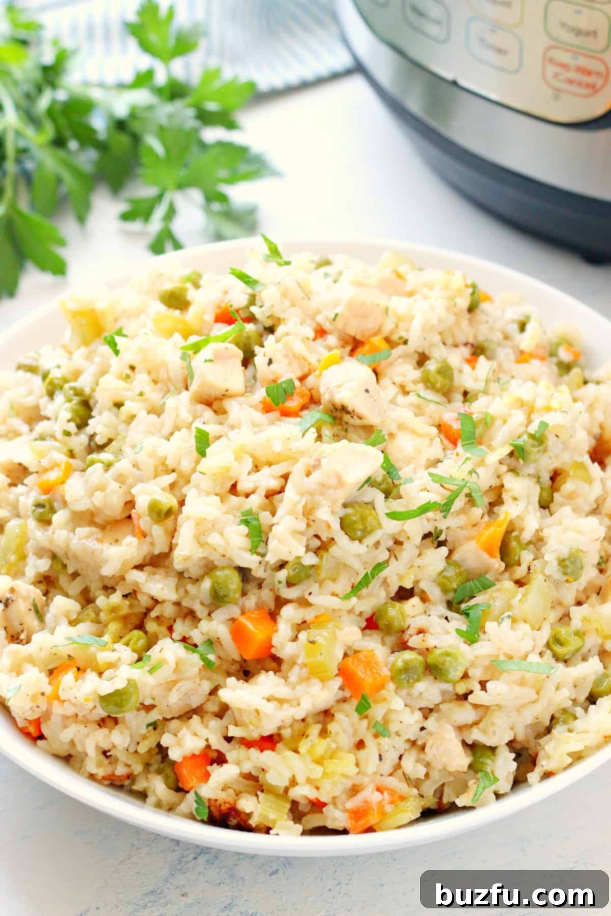 A bowl of Instant Pot Chicken and Rice next to the Instant Pot.