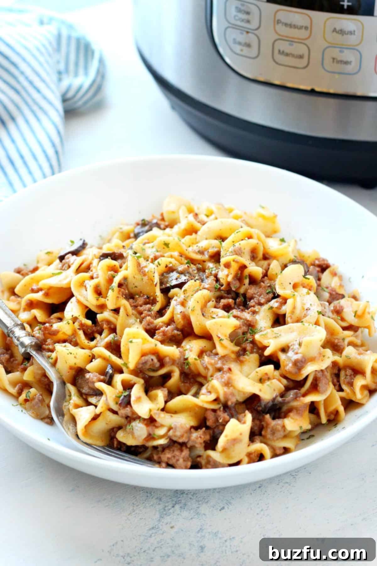A bowl of creamy Instant Pot Beef Stroganoff with wide egg noodles and fresh parsley garnish, ready to eat.