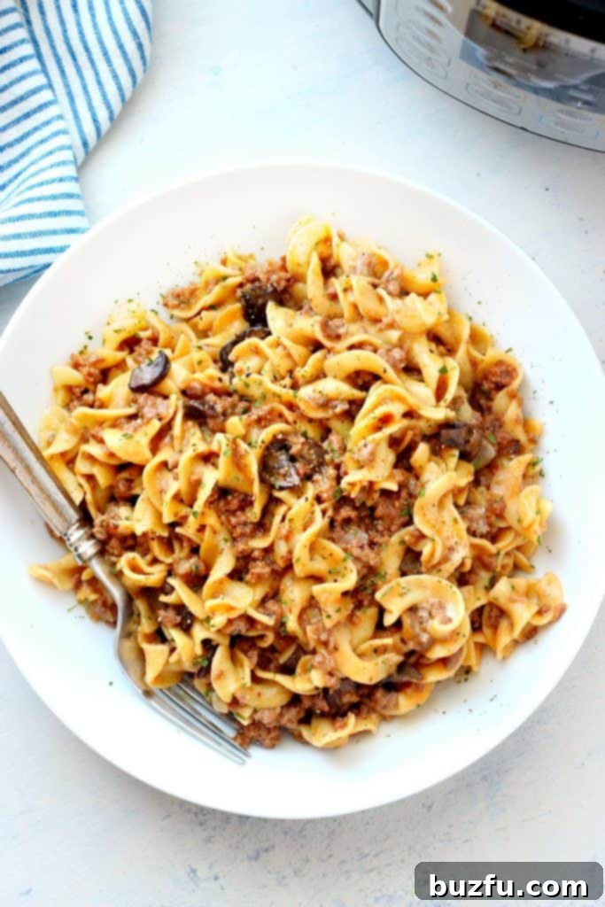 Close-up of a creamy and rich beef stroganoff in a white bowl, garnished with fresh herbs, ready to be enjoyed.