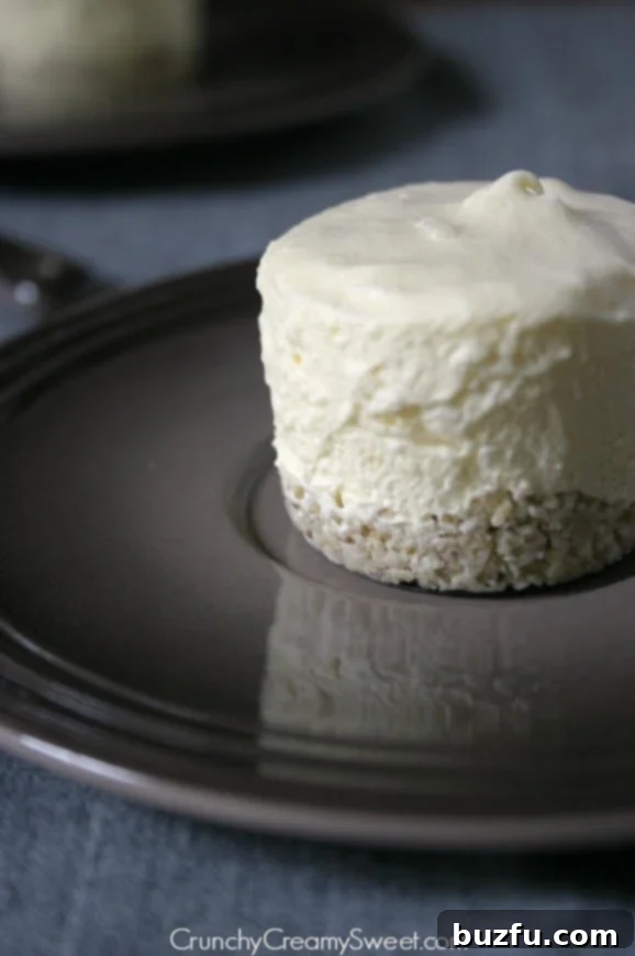 The delicious oat, almond, and coconut crust for the mini frozen desserts