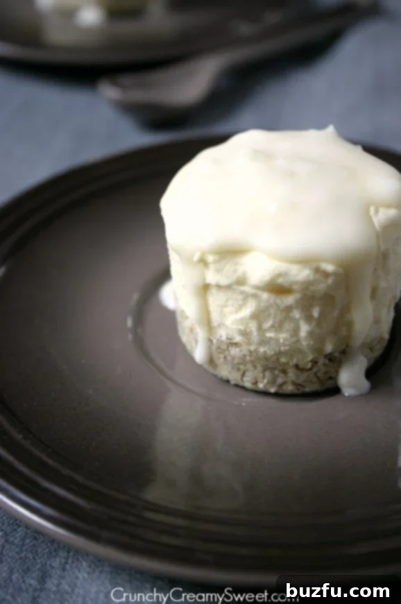 Serving of coconut cream mini frozen dessert with white chocolate magic shell, showing the crunchy texture