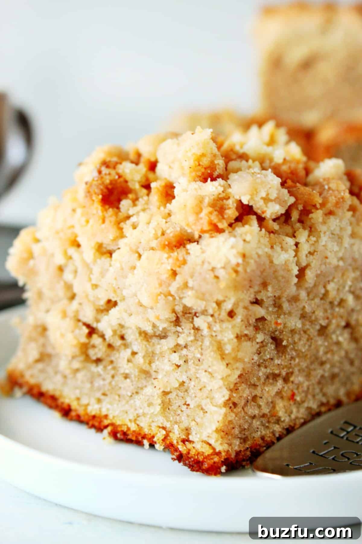 Easy Crumb Cake recipe Piece of crumb cake on a white plate.