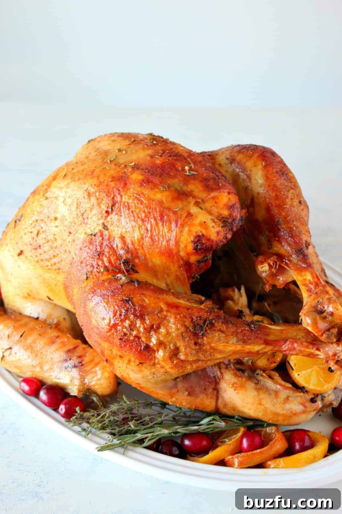 Turkey on a white platter, beautifully roasted and ready for carving.