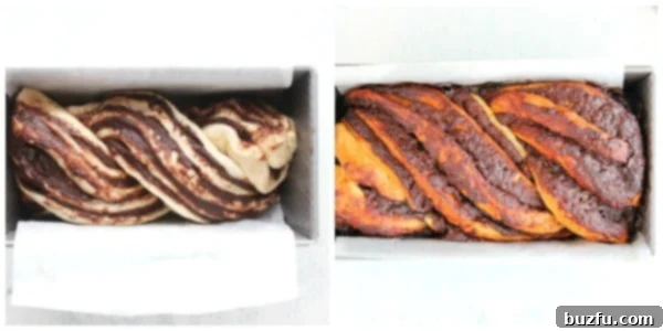 Two chocolate babkas in loaf pans, one risen and ready for baking, the other freshly baked to a golden brown.