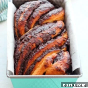 Freshly baked Chocolate Babka cooling in a loaf pan, ready to be sliced.
